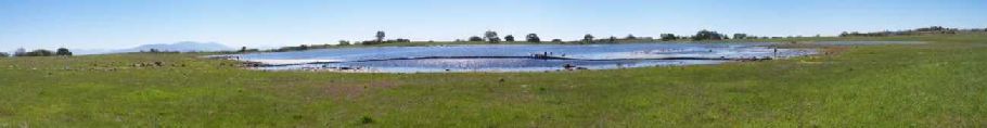 main vernal pool at srp