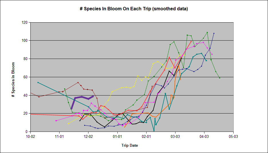 Graph showing the number of species found in bloom on each trip