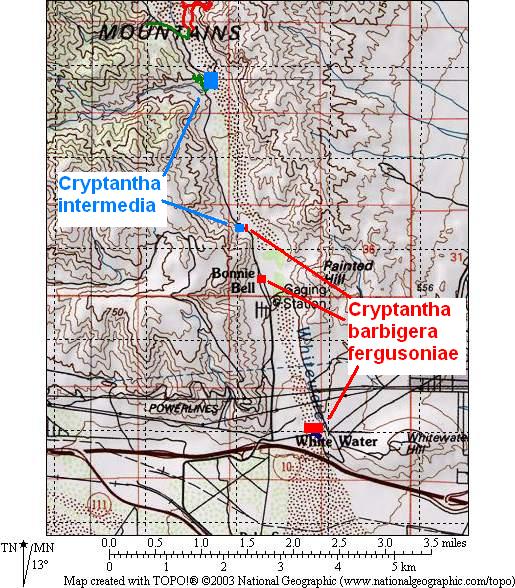 map of geographic distribution of <I>C. barbigera</I> var. <I>fergusoniae</I> and <I>C. intermedia</I> in Whitewater Canyon from this survey
